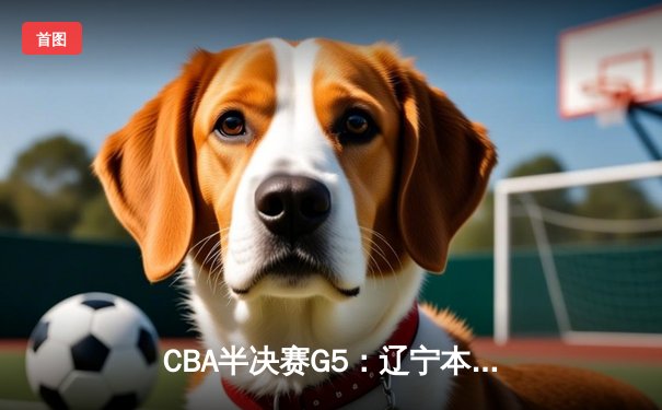 CBA半决赛G5：辽宁本钢加时险胜广东宏远 赵继伟33分率队挺进总决赛
